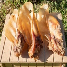 Cargar imagen en el visor de la galería, Oreja de Buey SIN pelo