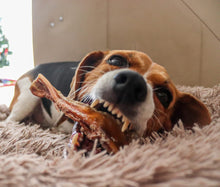 Cargar imagen en el visor de la galería, Caravaca
