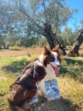 Cargar imagen en el visor de la galería, Guía básica sobre perros