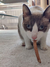 Cargar imagen en el visor de la galería, Tráquea de pato