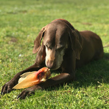 Cargar imagen en el visor de la galería, Oreja de Buey SIN pelo