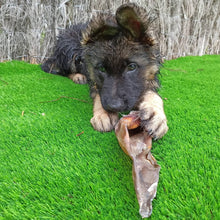 Cargar imagen en el visor de la galería, Oreja de ternera