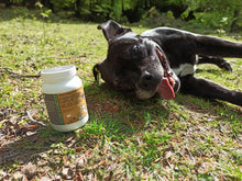 Cargar imagen en el visor de la galería, Curcuperro