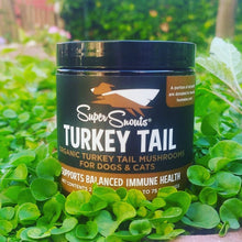 Cargar imagen en el visor de la galería, Turkey Tail - Hongo inmunomodulador