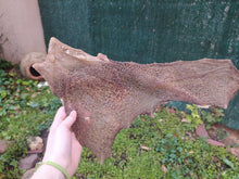 Cargar imagen en el visor de la galería, Placa de tripa verde de cordero