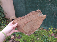 Cargar imagen en el visor de la galería, Placa de tripa verde de cordero