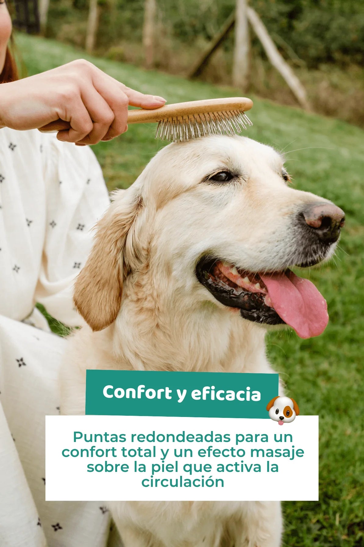 Cepillo de mantequilla para perros - The Doog Life