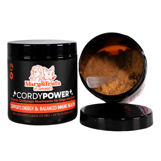 Cordy Power - Cordyceps orgánico - Mary & Trufajn