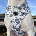 Arnés ajustable Koala - My Pug & Co