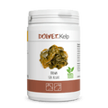 Dolvet Kelp - Algas marinas