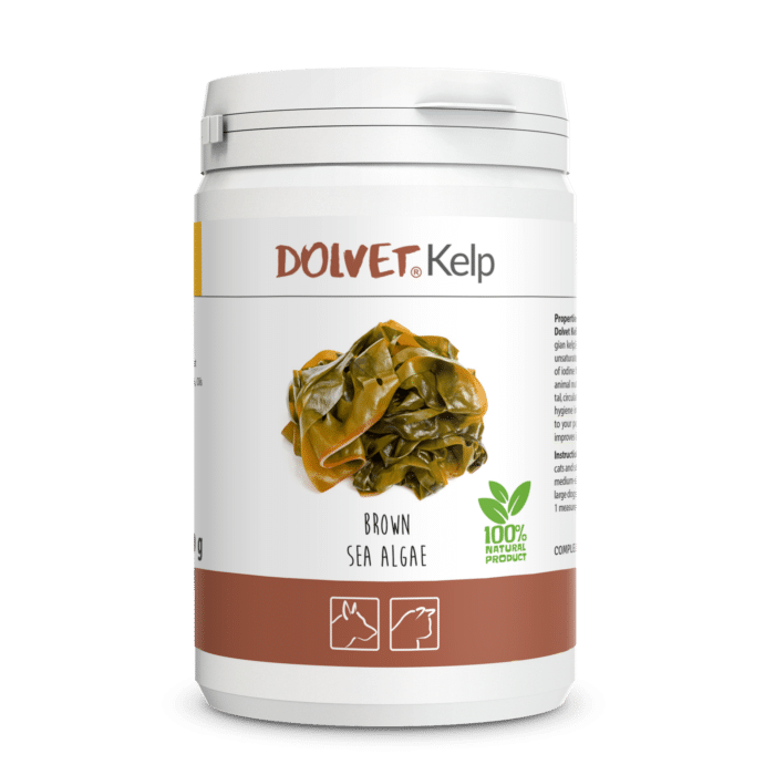 Dolvet Kelp - Algas marinas