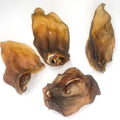 Oreja de jabalí