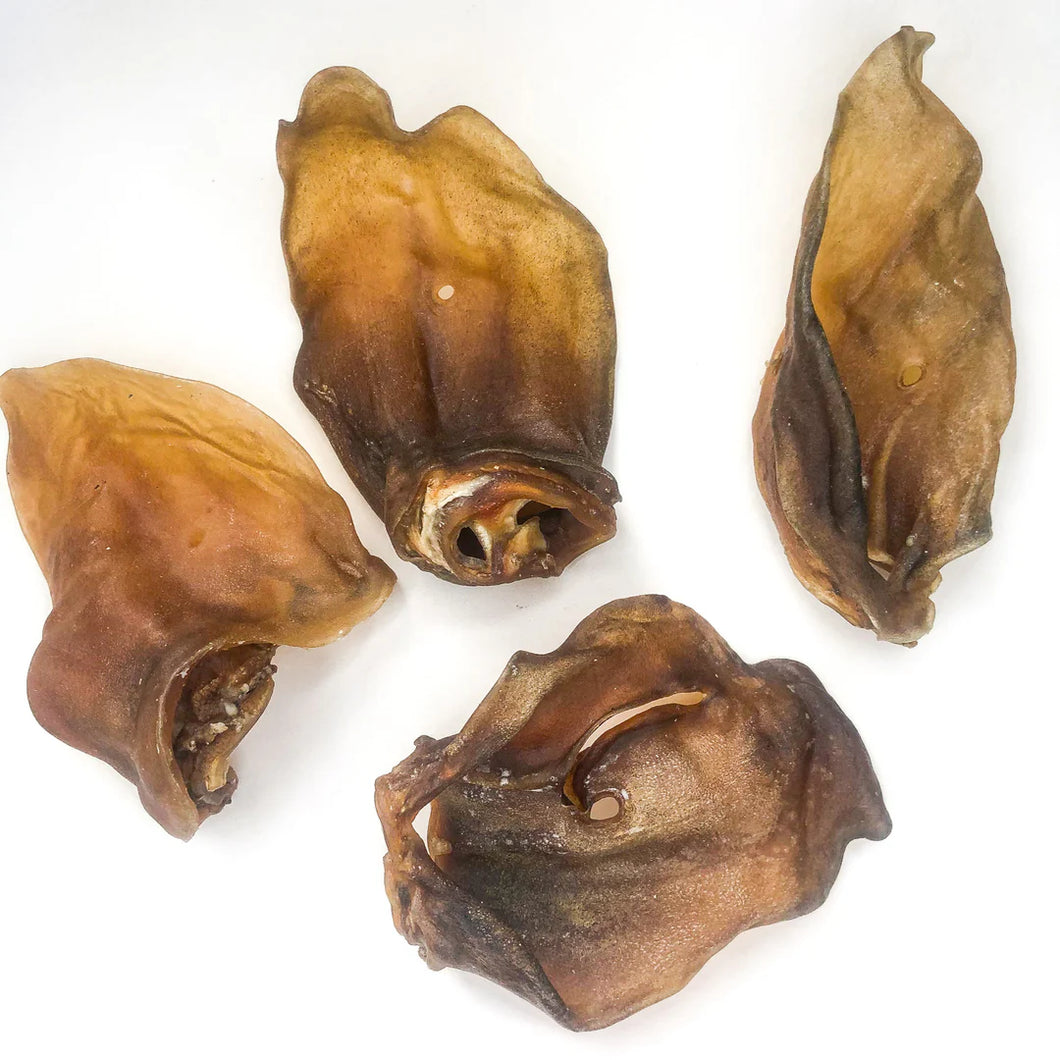 Oreja de jabalí