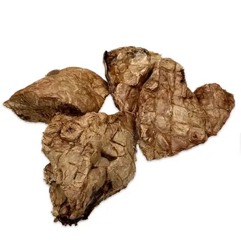 Pulmón de cerdo