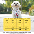 Chubasquero Snoopy Classic