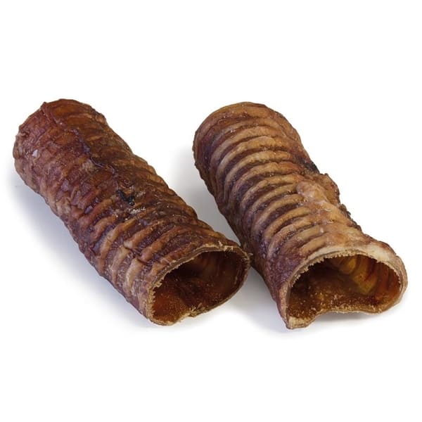 Tráquea de  avestruz