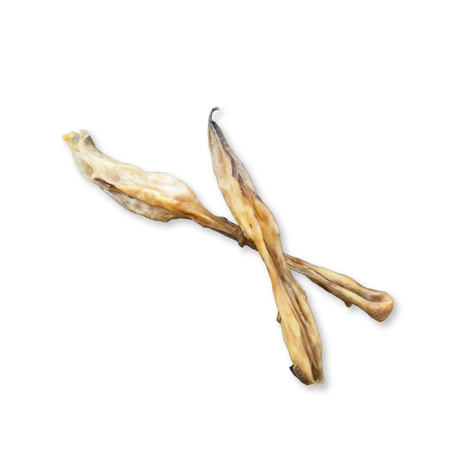 Orejas de liebre