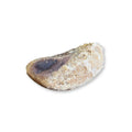 Pezuña rellena ahumada