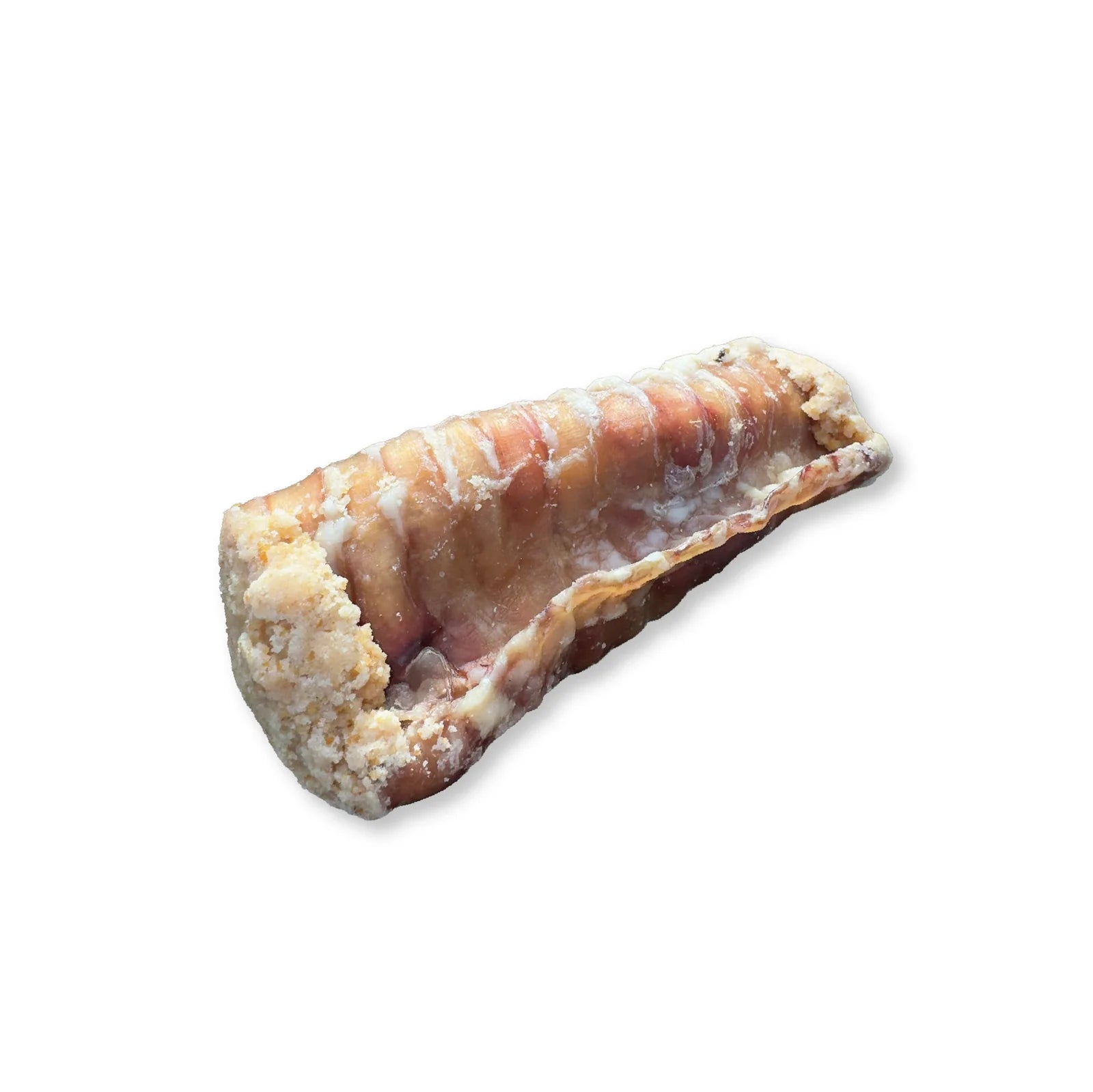 Tráquea rellena ahumada