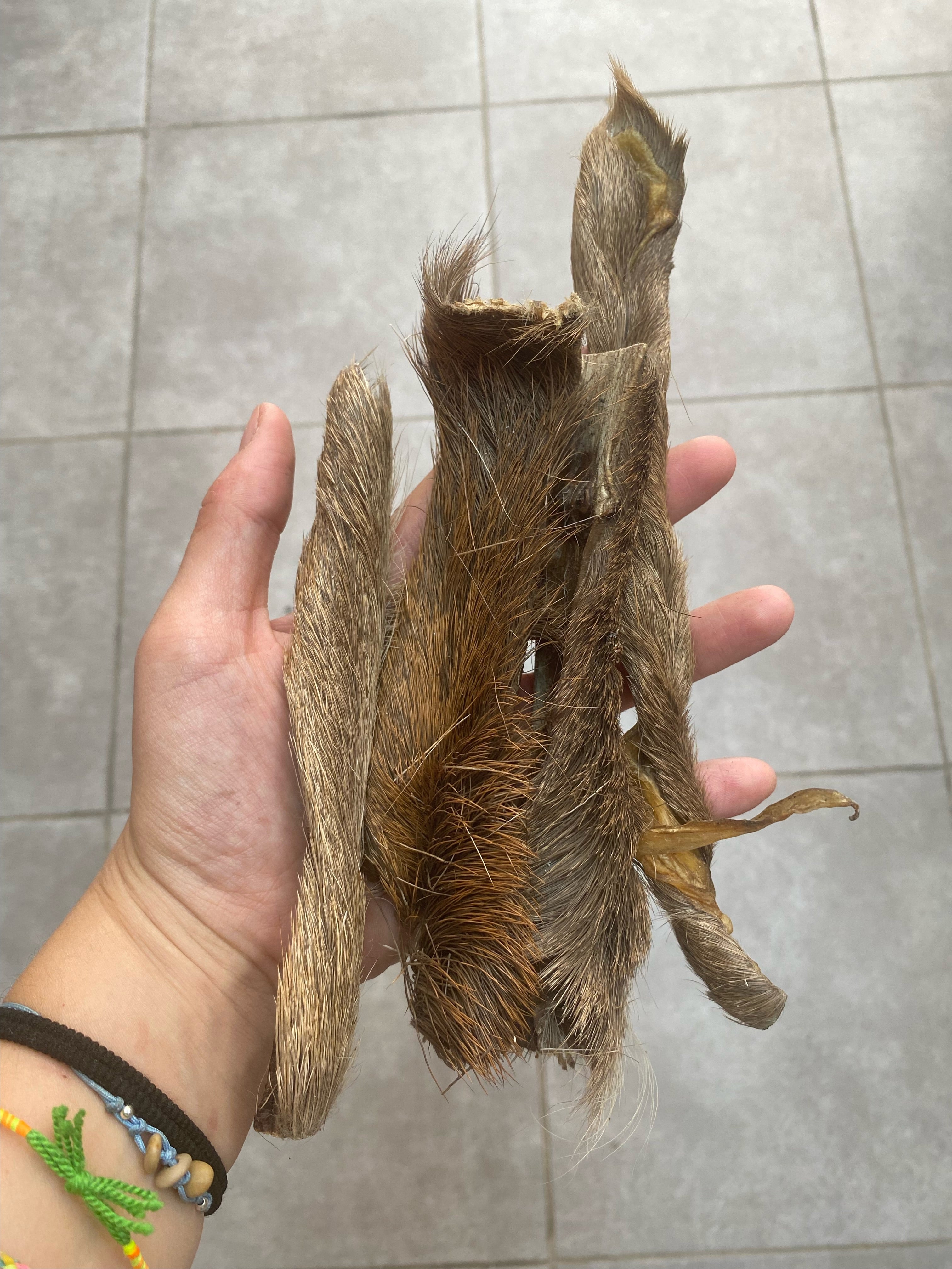 Piel de ciervo con pelo