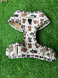 Arnés ajustable Yorkshire - My Pug & Co