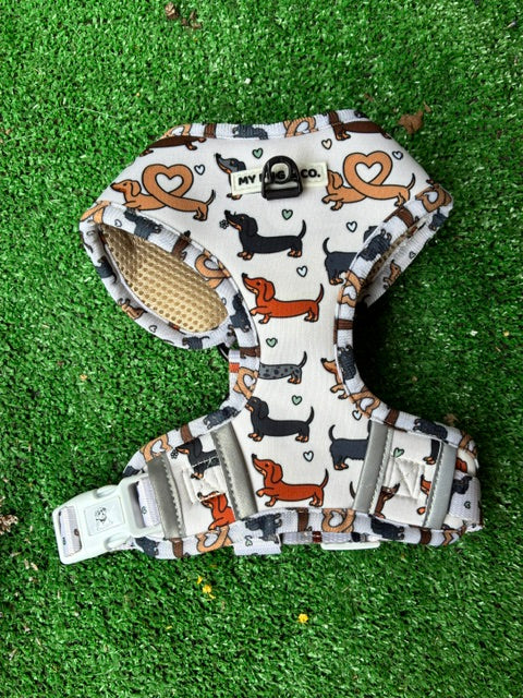 Arnés ajustable teckel - My Pug & Co