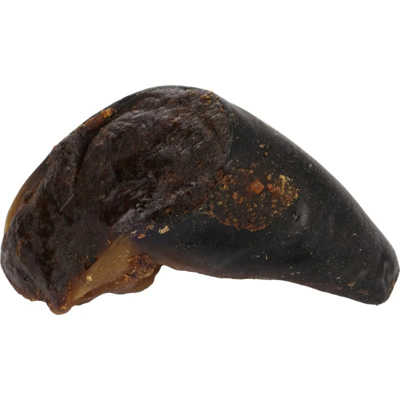 Pezuña de búfalo rellena de tripa