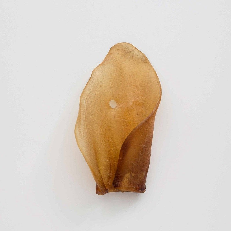 Oreja de ternera