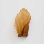 Oreja de ternera