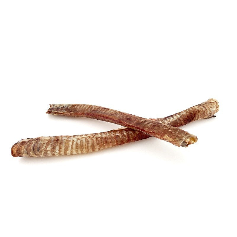 Tráquea bovina XL