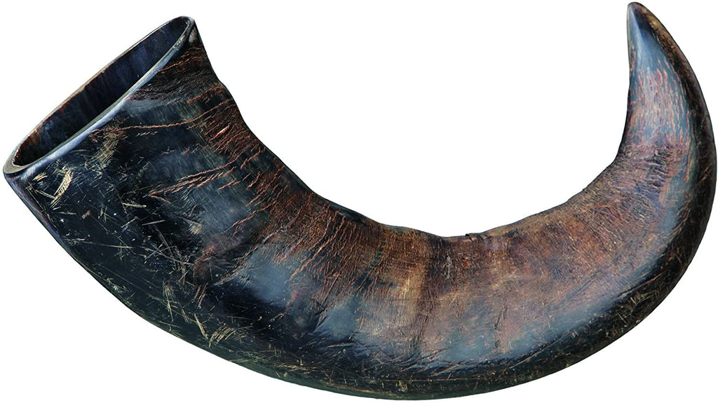 Cuernos  de Búfalo