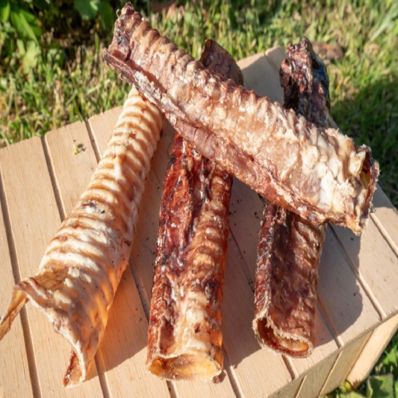 Tráqueas bovinas