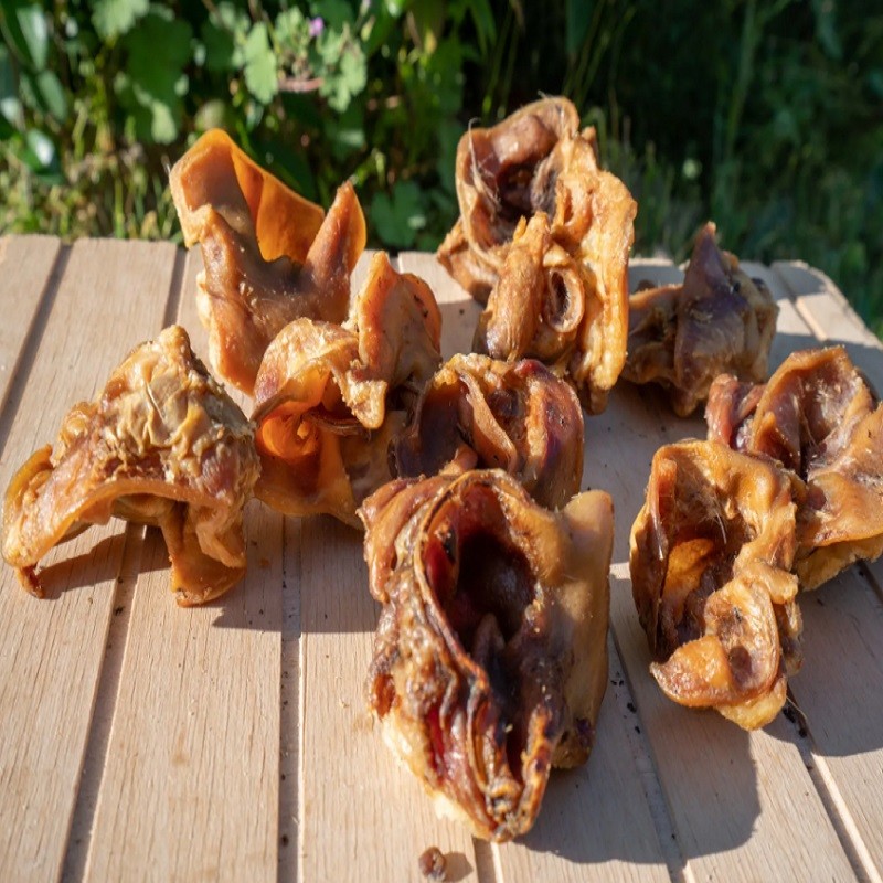 Oído de cerdo