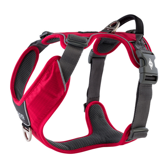 Arnés Dog Copenhaguen Comfort Walk Pro