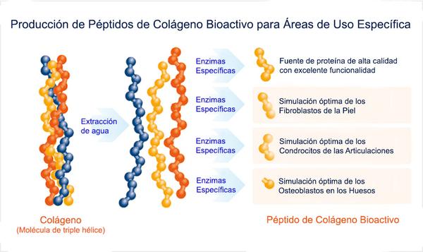 Colágeno hidrolizado (pura agilidad)