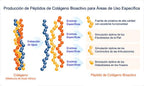 Colágeno hidrolizado (pura agilidad)