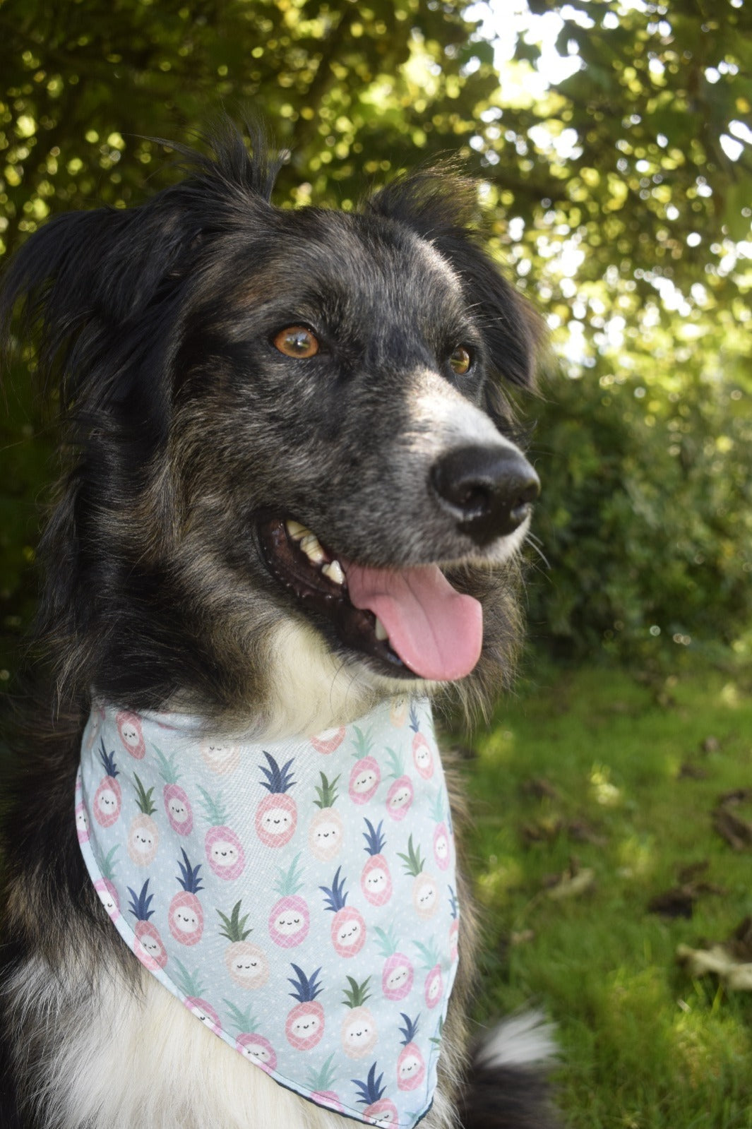 Bandanas piñas - Naturgold