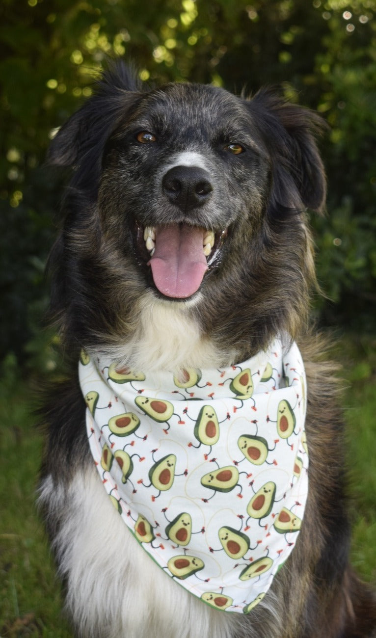 Bandanas aguacates - Naturgold