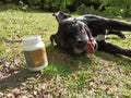 Curcuperro