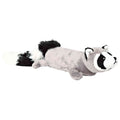 Mapache