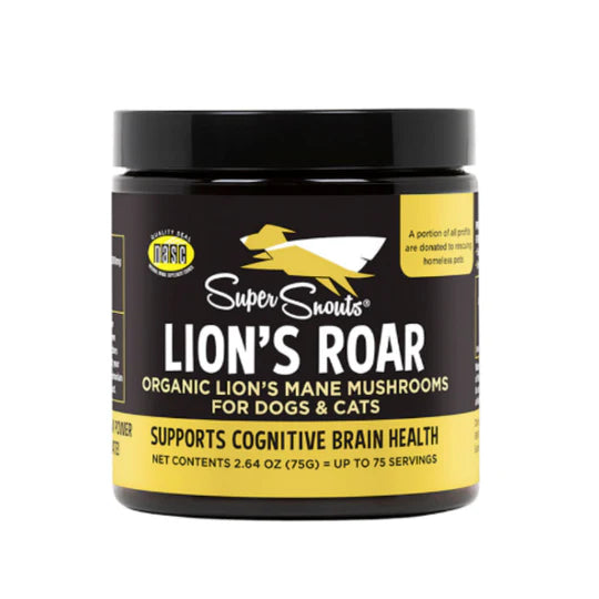 Lion´s Roar - Hongo Melena de león