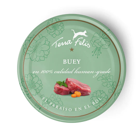 Terra Felis - Buey