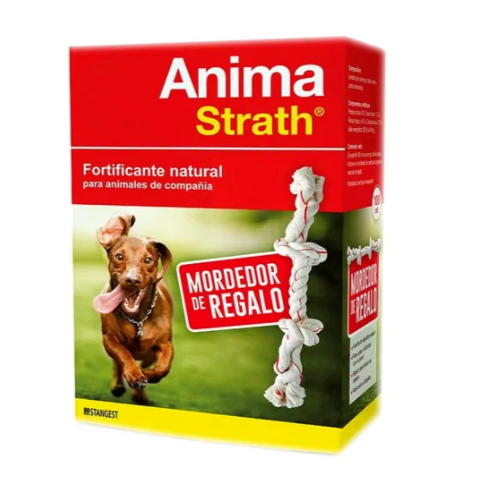 Anima Strath Reconstruyente