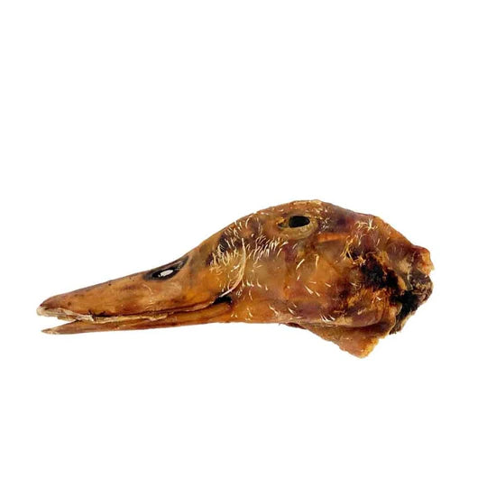 Cabeza de pato