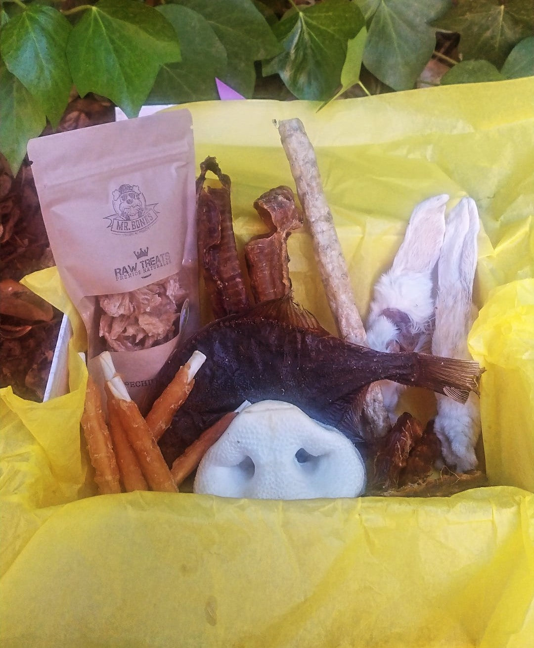 Caja especial cachorros