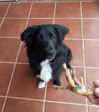 Patas de pollo