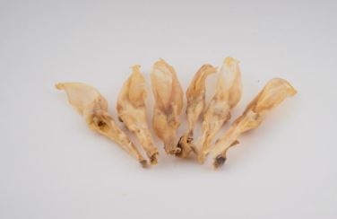 Oreja de conejo SIN pelo